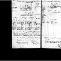 Primary page